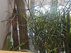 -隅乐胡椒虾·台湾菜·团建(皇岗店)