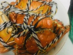 阳澄湖大闸蟹-乡乐园蟹庄·阳澄湖农家乐