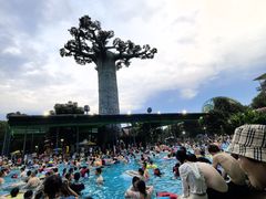 -苏州乐园森林水世界