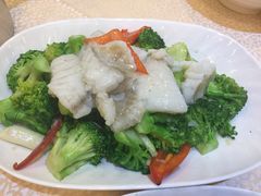 -德记潮州菜馆(卑路乍街)