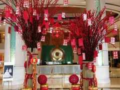 -成都泰合国际大饭店(春熙路太古里店)