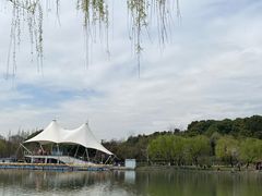 -大宁郁金香公园-停车场