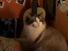 -南京天堂隔壁酒吧