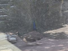 -北宫国家森林公园