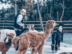 -西霞口神雕山野生动物世界