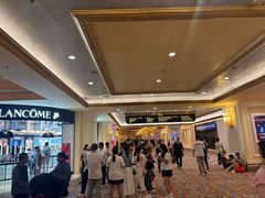 -澳门威尼斯人综合度假区