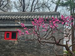 -元大都城垣遗址公园