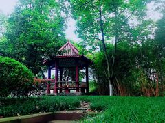 -西南政法大学(沙坪坝校区)