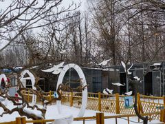 -1982农场