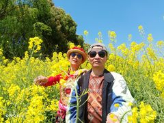 -浦星公路-路侧停车位