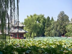 -莲池书院博物馆