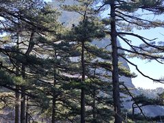-明堂山风景区