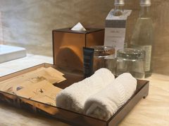 -芽庄喜来登水疗酒店