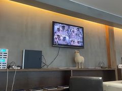 -上海普陀宝诚MINI4S店(红柳路店)