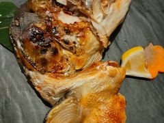 -黑松白鹿(新活馆店)