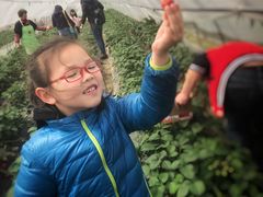-小鱼草莓采摘园农家乐·小鱼餐厅