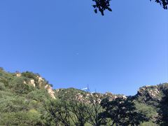 -大岭沟猕猴桃谷风景区