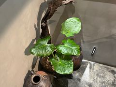 -本处·素食·融合料理(南油店)