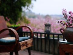 -观清澜疗愈民宿(龙泉山风景区店)