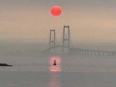 -宝安西湾红树林湿地公园