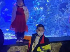 -烟台海昌鲸鲨海洋公园