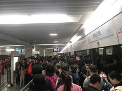 -自然谷恐龙园