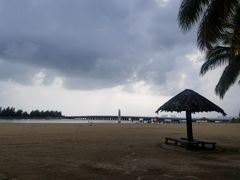 -东郊椰林