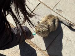 -四门塔风景区