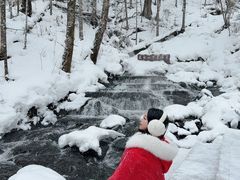 -峡谷浮石林景区