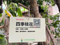 -呀路古热带植物园