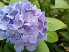 -常州古运河南大街文化旅游区-人民公园