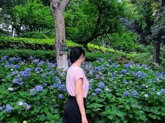 -常州古运河南大街文化旅游区-人民公园