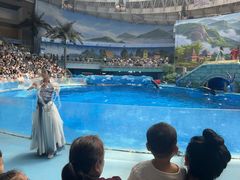 -海合安成都极地海洋公园