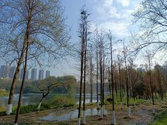 -重庆彩云湖湿地公园