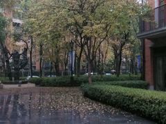 -芙蓉堂(武汉天地店)