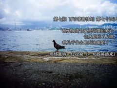 -天河体育中心游泳馆