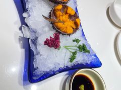 海胆-正黄旗海鲜烧烤大排档(延安路总店)