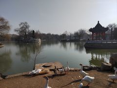 -达活泉公园