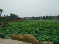 android_upload_pic-灵山莲花公园-温泉度假区