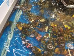 -盒马鲜生(莱蒙都会店)