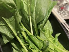 -捞王猪肚鸡火锅(财富中心店)