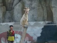 android_upload_pic-南昌动物园