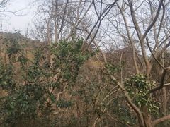 -敬亭山风景名胜区