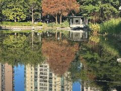 -四海公园(南山区)