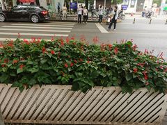 -三元梅园(团结湖店)