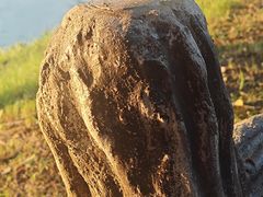 -艾溪湖湿地公园