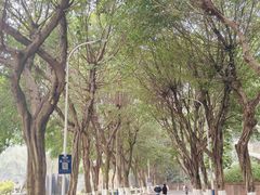 -西南政法大学(沙坪坝校区)