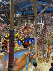 -卡通尼·Safari非洲探索乐园·生日会(金桥国际商业广场店)