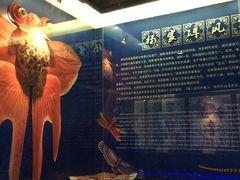 -杨家埠民间艺术大观园