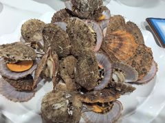 -渔码头食府·20年蓬莱老字号(登州路店)